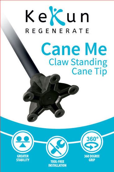 Picture of Hugo Claw Stable Cane Tip